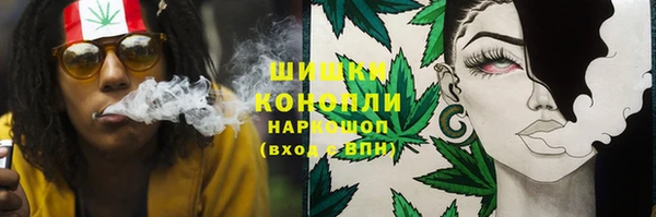 mdpv Елизово
