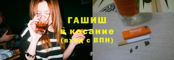 мдпв Елабуга