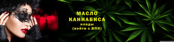 мдпв Елабуга