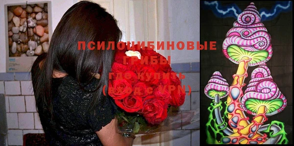 прущий лед Дмитровск