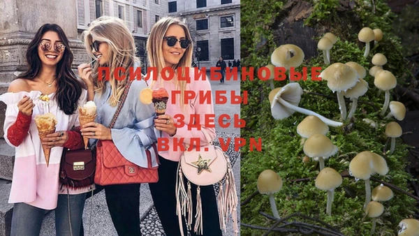 герыч Ельня