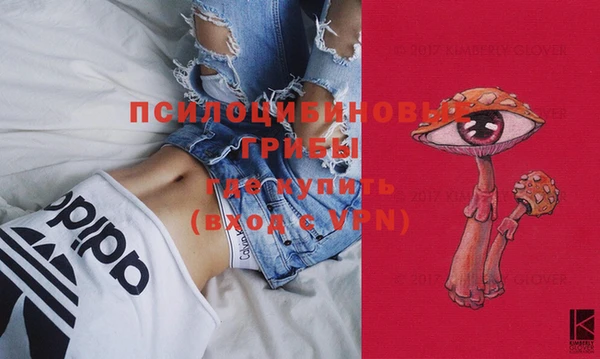 мдпв Елабуга