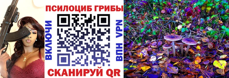 Купить закладки  Новый Оскол  Псилоцибиновые грибы Psilocybe 