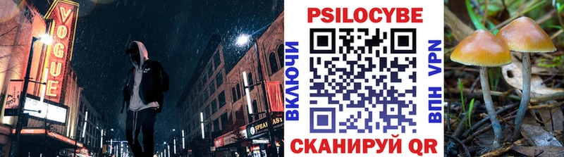 Псилоцибиновые грибы MAGIC MUSHROOMS Новый Оскол